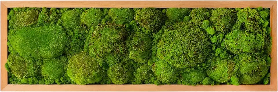 SuperMoss (20315) Royal Pool Moss Frame Handcrafted in the USA for Elegant Moss Wall Decor – Zero Maintenance, Perfect for Home, Office, and Wedding Spaces, 16” x 48”, Fresh Green