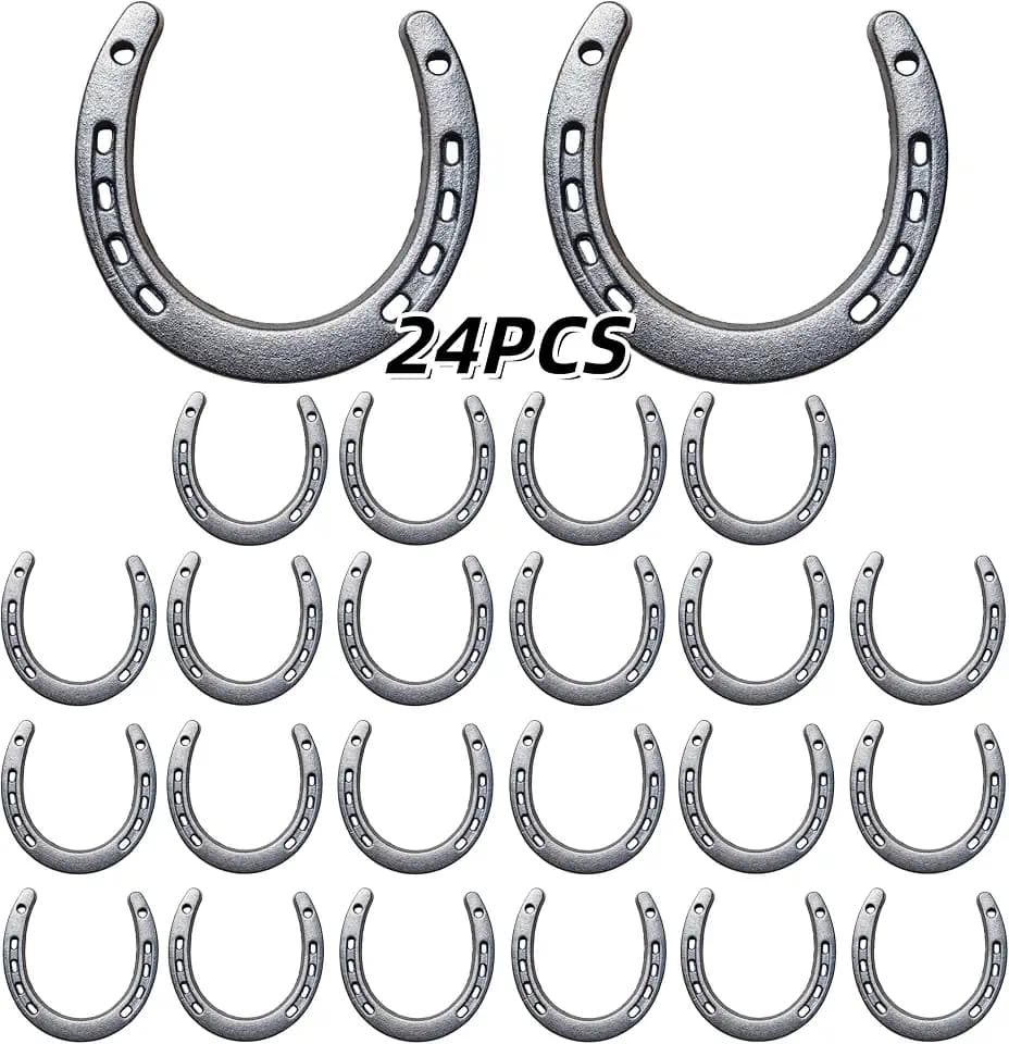 Desyeryamimi 24 PCS Horseshoe Wall Decor (24)