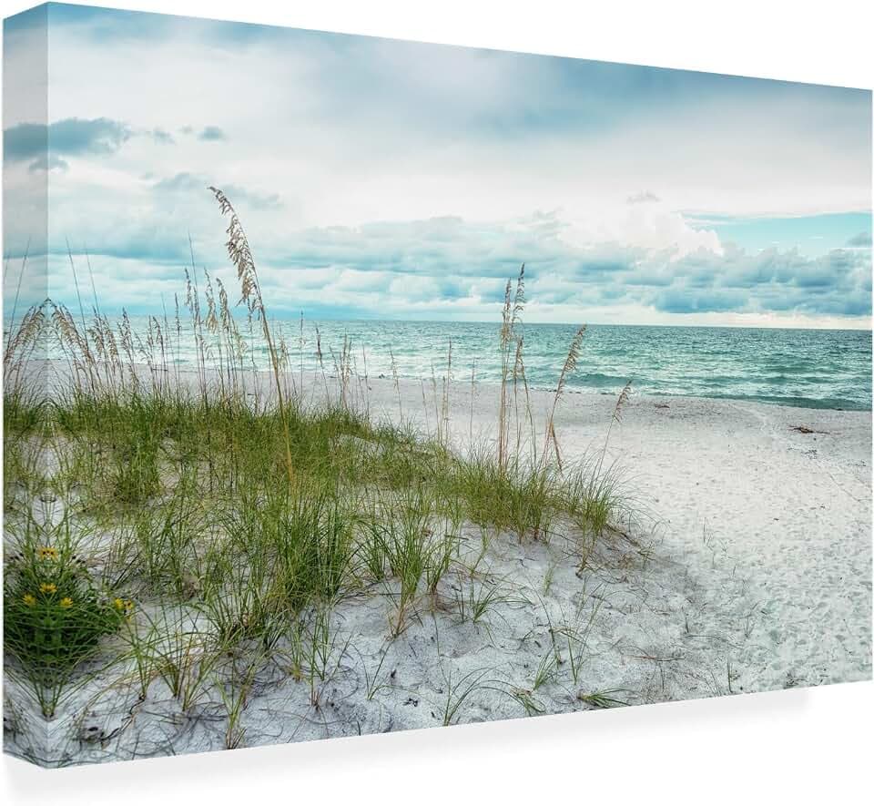 Wrapped Canvas Wall Art - Mary Lou Johnson 'Beach Secrets' Wall Art for Living Room, Bedroom, or Office Décor - 16x24