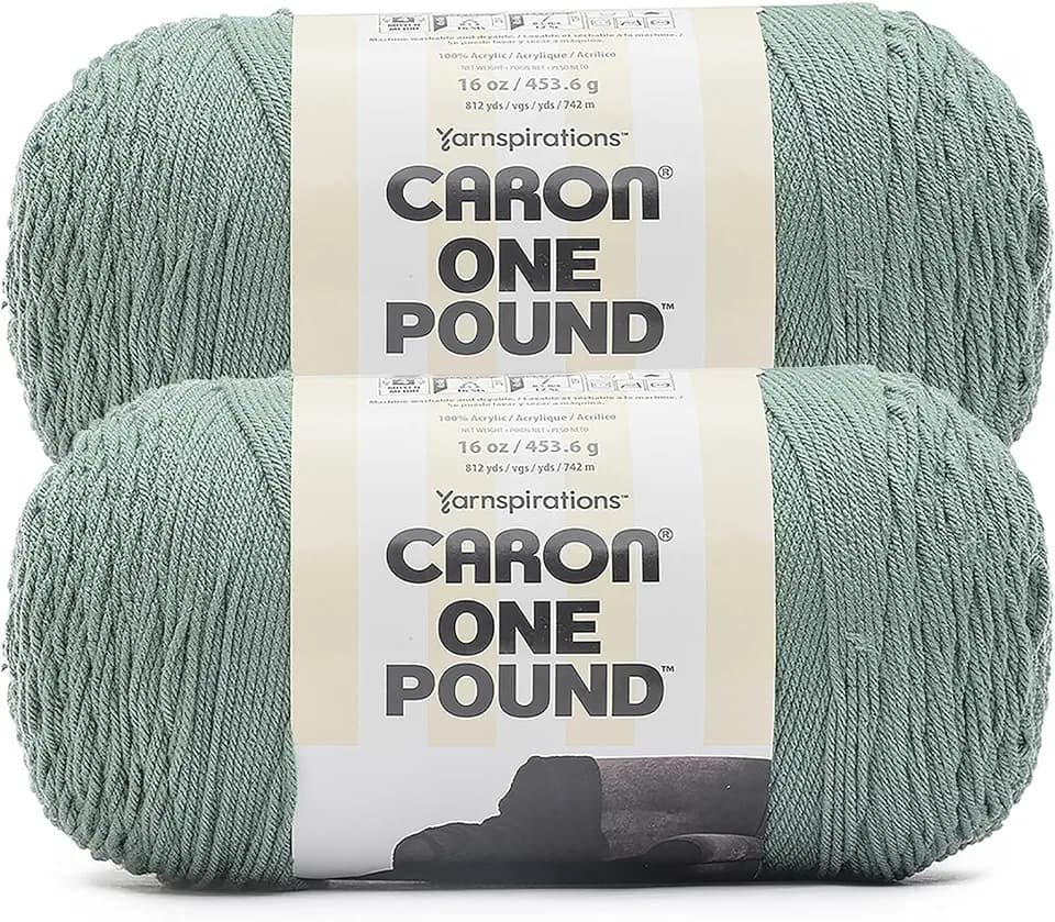 Caron One Pound Soft Yarn for Crocheting & Knitting, Hosta, 2-Pack
