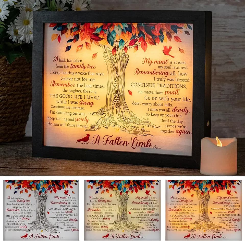 Sympathy Shadow Box - LED Memorial Box for Loss of Loved One - Mom, Dad, Father - Bereavement Gift