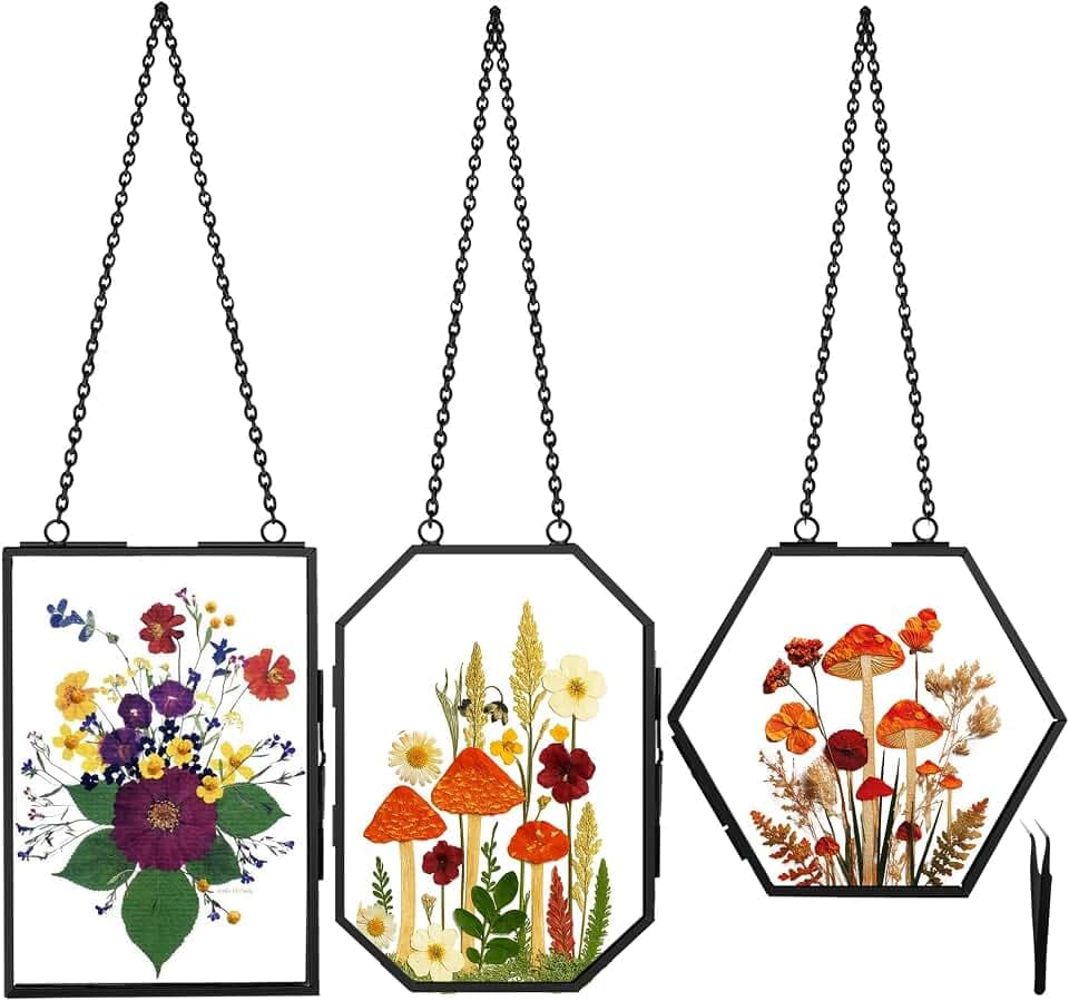BABUFINE Pressed Flower Frames with Tweezers, Wall Hanging Double Glass Picture Frames with Chain for Dried Flowers Plants Wall Decor,Only Frame (Black-3PCS)