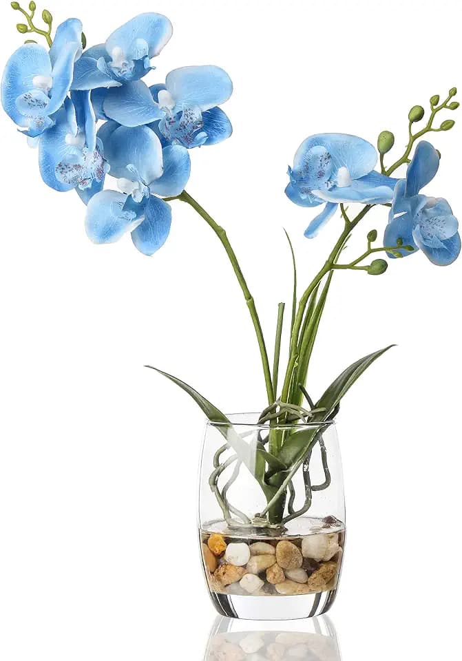 Jusdreen Artificial Blue Orchid in Glass Vase, Realistic Phalaenopsis