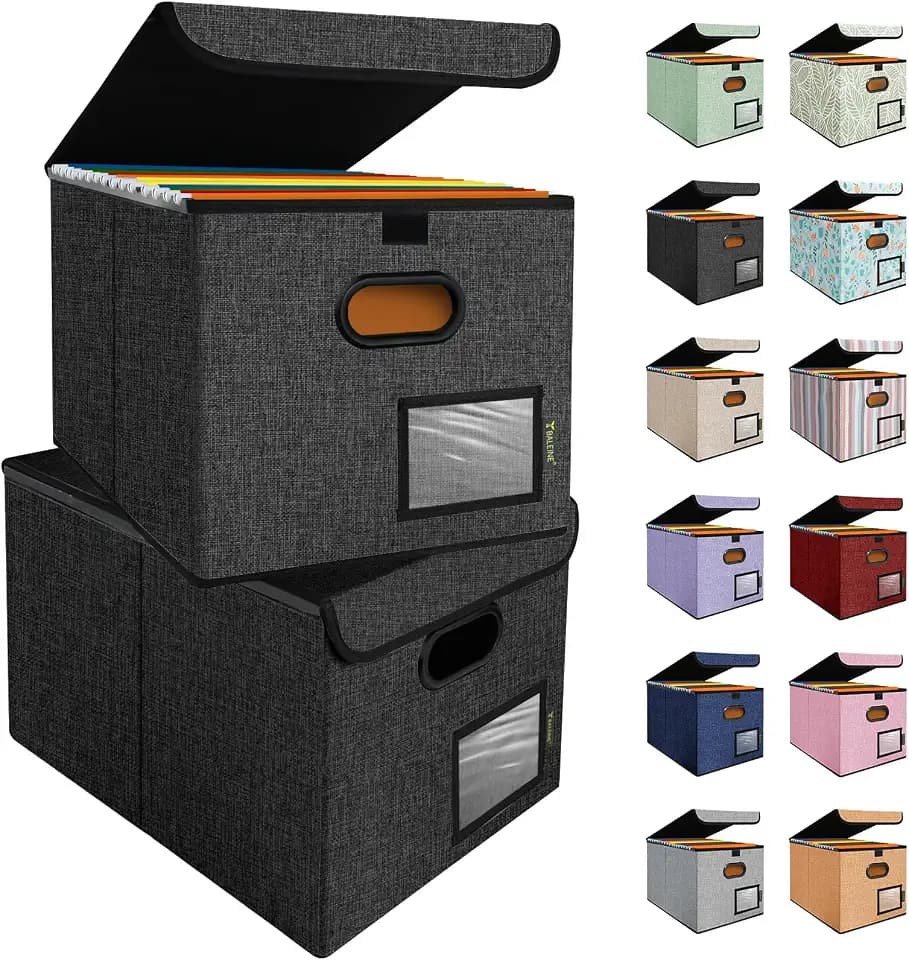 BALEINE File Organizer Box with Lid, Collapsible Hanging File Storage Box