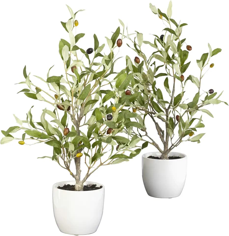 Nearly Natural 18in. Olive Silk Tree with Vase (Set of 2)