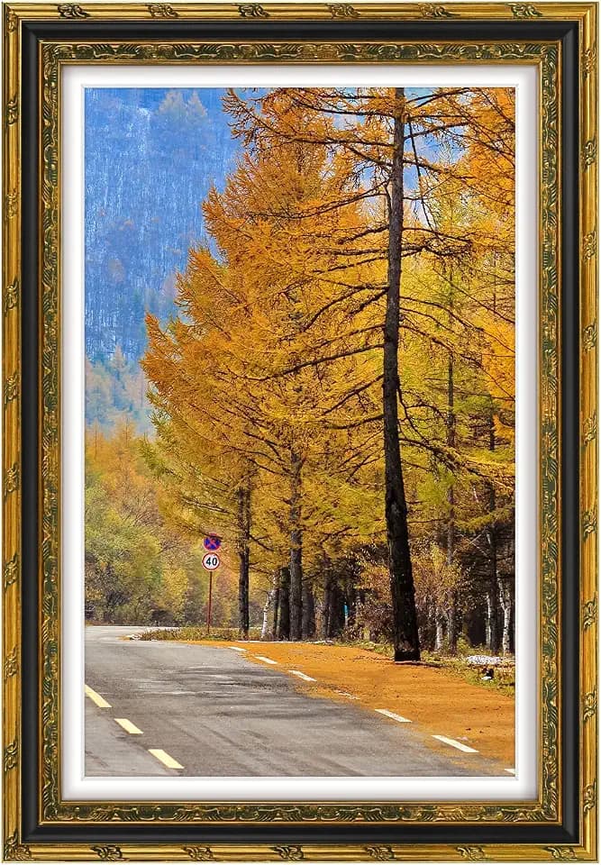 Golden State Art 12x18 Gold & Black Frame Real Glass White Mat For 11x17