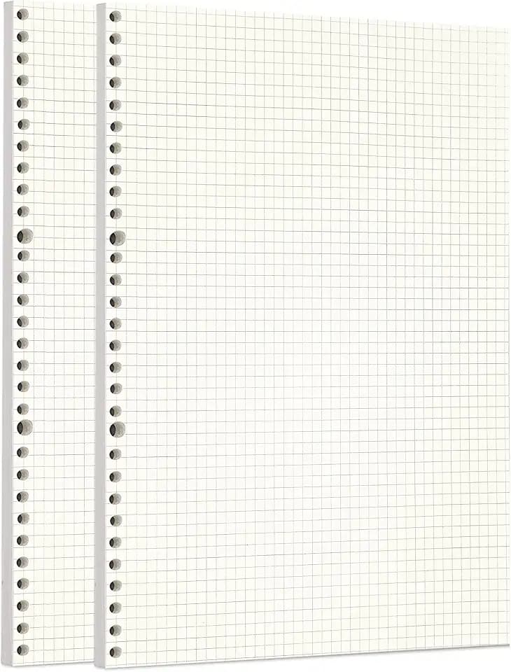 2 Pack A4 90 Sheets/180 Pages Squared Loose Leaf Punched Paper Refills Paper for 30 Hole Binder Personal Organizer Diary Notebook Refillable Planner