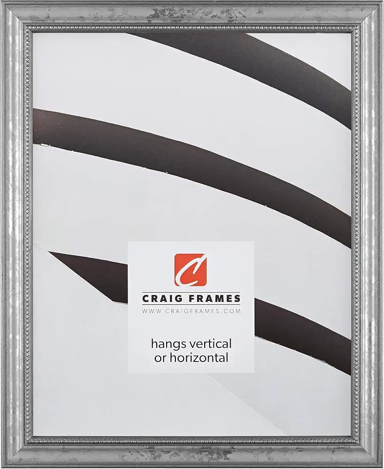 Craig Frames 16x20 Silver Picture Frame, Vintage Victorian Wall Art Decor