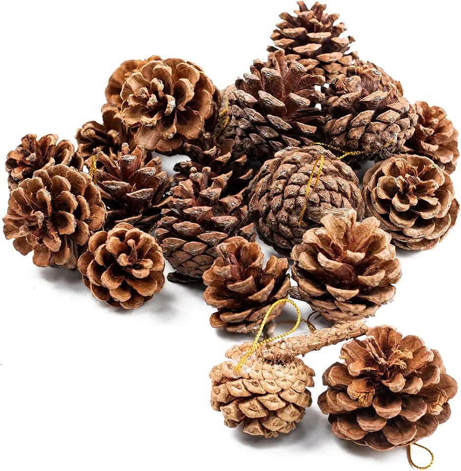 JOHOUSE 18 PCS Hanging Natural Pine Cones (1.5" - 2.5"), Rustic Pinecones