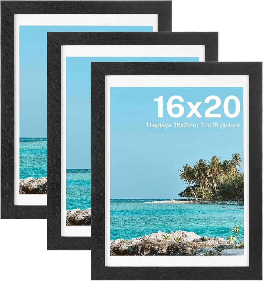 HOUSE DAY 3 Pack Black 16x20 Poster Frame Wood and HD Plexiglass for Wall