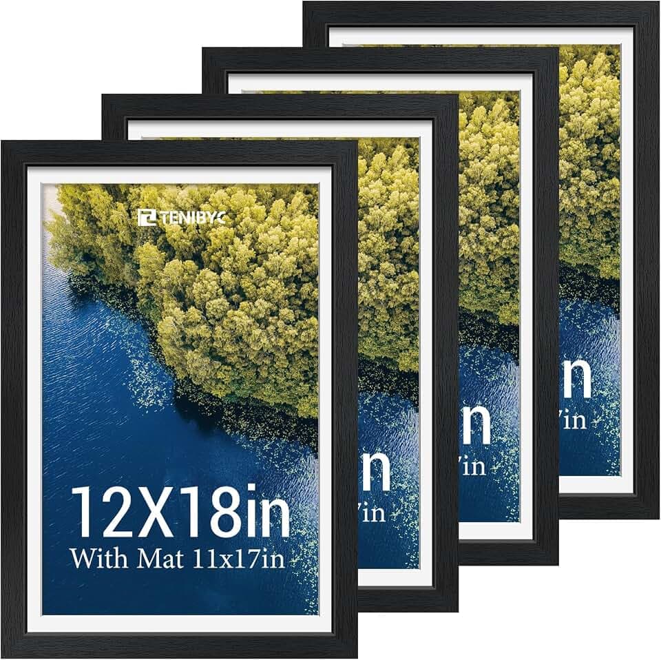 12x18 Poster Frame 4 Pack, 11x17 Mat, Black Wood, Glass