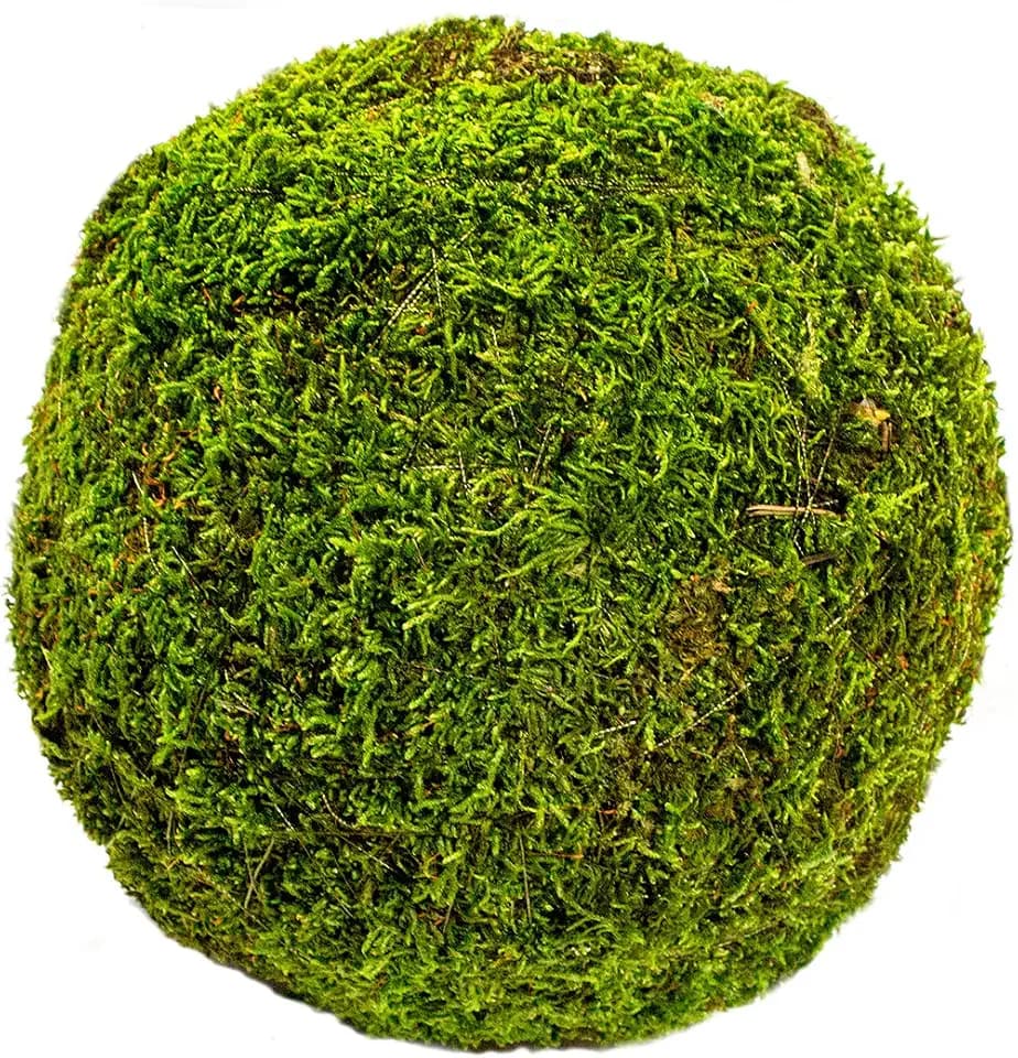 SuperMoss (21663) Moss Ball, Fresh Green, 8"