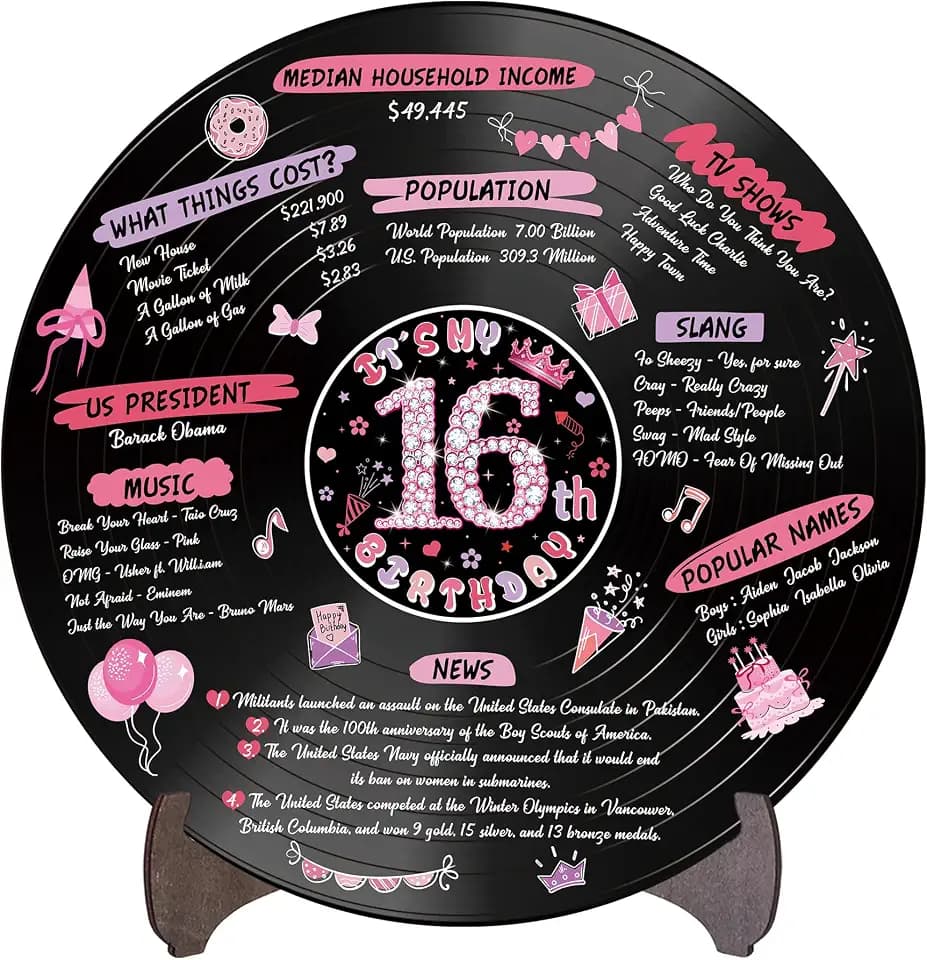 Holkcog Vinyl Record 16th Birthday Decoration, Pink 16 years Party Poster