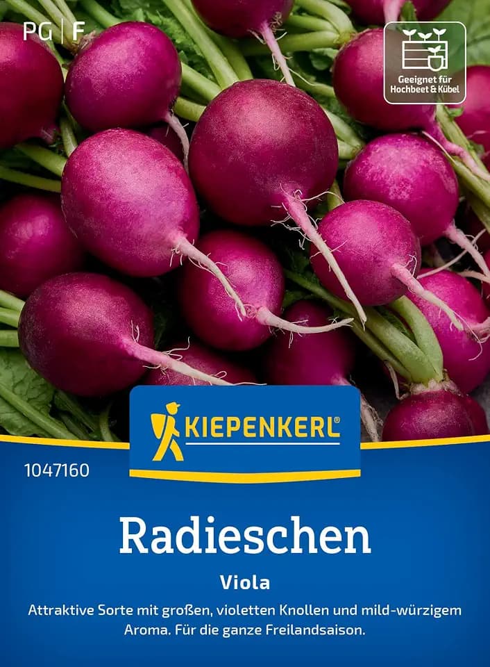 Kiepenkerl Radieschensamen "Viola" 1047160, Gemüsesaat