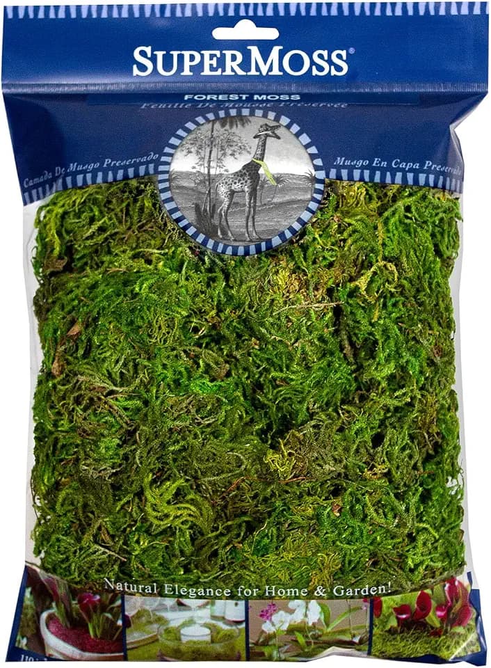 SuperMoss Forest Moss Preserved Lasting Decorative Long Fibers for Potted Plants and Crafts, Fresh Green