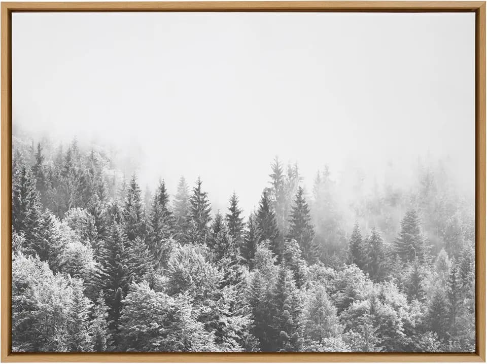 Kate and Laurel Sylvie Forest On A Foggy Day BW Framed Canvas Wall Art by The Creative Bunch Studio; 28x38 Natural; Decorative Nature Art for Wall