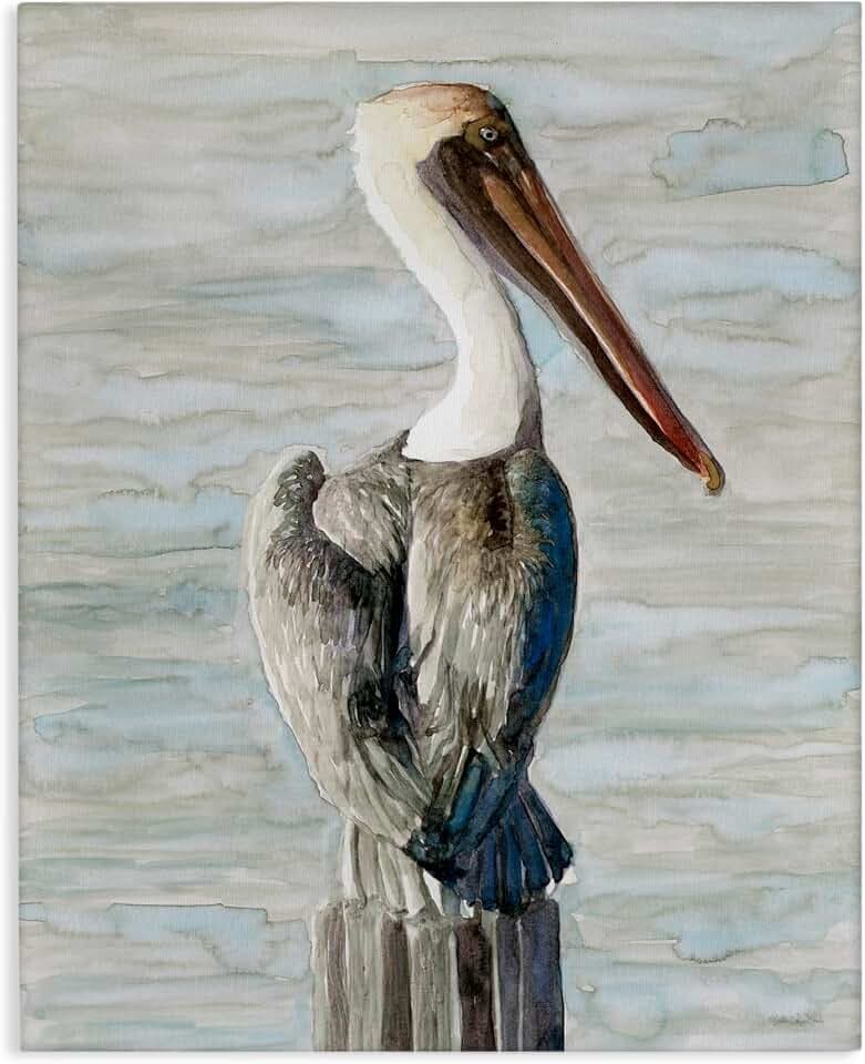 Stupell Industries Long Beak Pelican Coastal, 36 x 48 Inch Canvas Wall Art