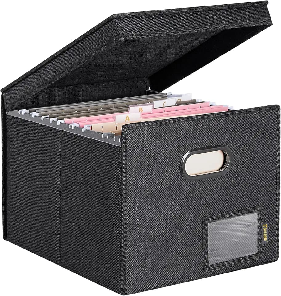 BALEINE File Organizer Box with Lid, Collapsible Hanging File Storage Box