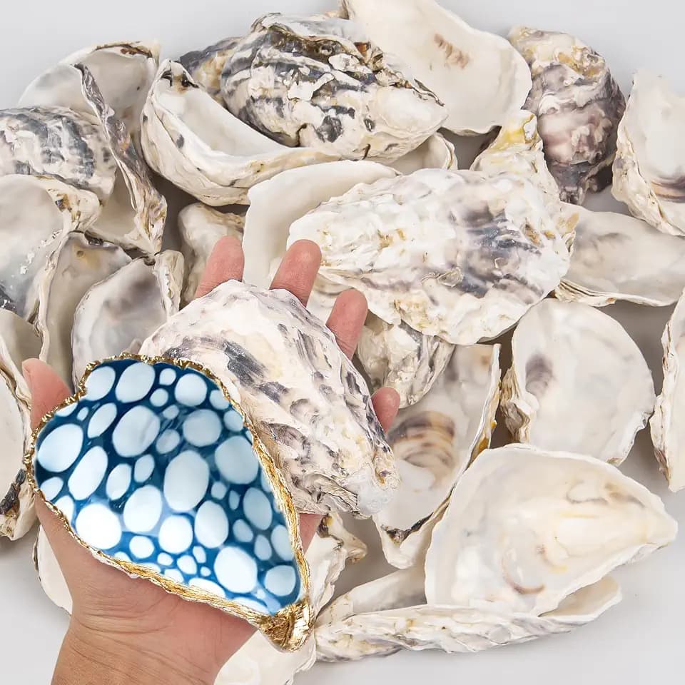 15PCS Oyster Shells 4"-5" Concave Oyster Shells for Crafts Natural Oyster Shells Bulk, for Home Vase Filler, Xmas Ornaments, DIY Arts and Crafts Sea Shells