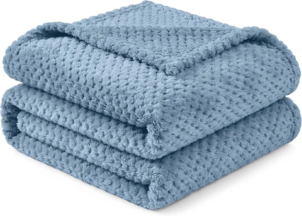 PAVILIA Fleece Throw Blanket for Couch Sofa Bed, Dusty Blue 60x80 Twin