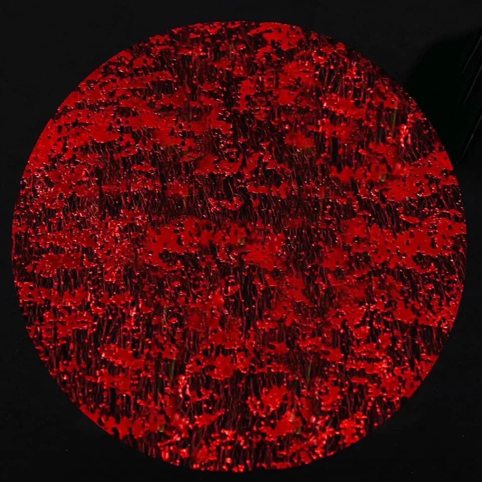 Red Disposable Placemats Set of 100 Red Charger Plates Doilies Metallic Thin Mesh Round 13 Inch Glitter Foil Pressed Dining Table Decoration Centerpieces for Party Wedding Birthday