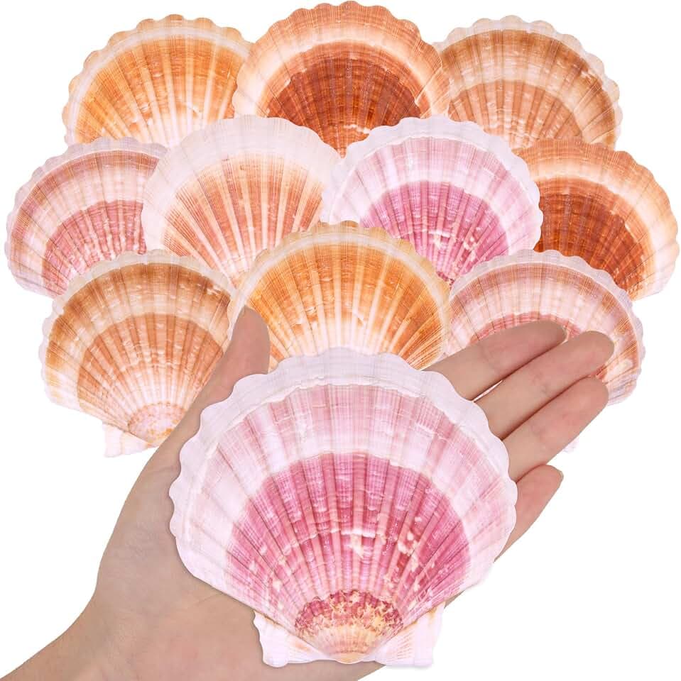 10PCS Large Natural Scallop Shells, 4''-4.5'' Large Sea Shells Pink & Yellow for Crafts, Baking, Beach Wedding, DIY Painting, Ocean Themed Party and Coastal Home Decor