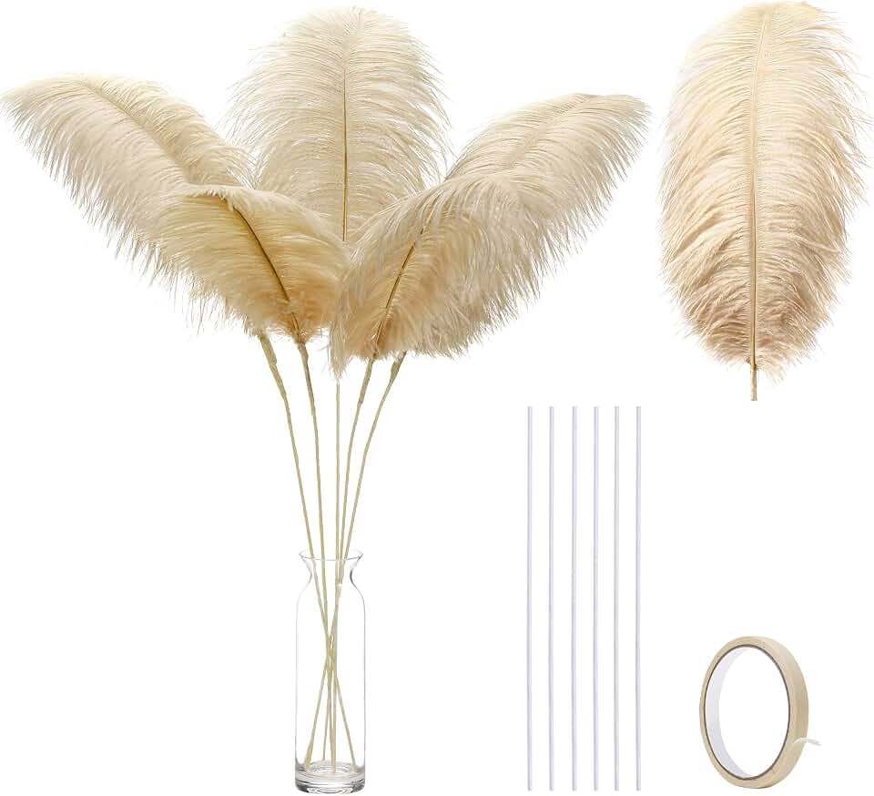 Ballinger Champagne Large Ostrich Feathers,12pcs 24-26inch Making Kit