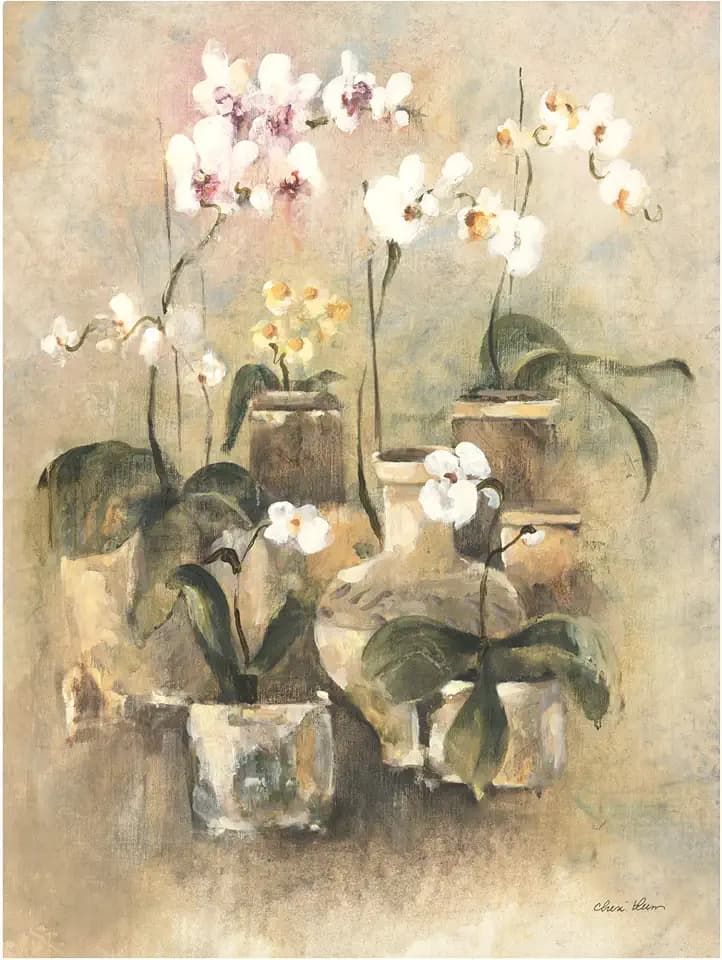 Trademark Fine Art Canvas Wall Art - Cheri Blum 'Arrangement of Orchids II' Wall Art for Living Room, Bedroom, or Office Décor