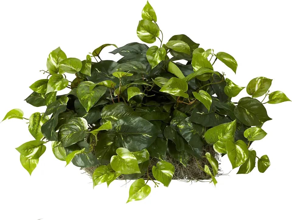Nearly Natural 15in. Pothos Ledge Plant (Set on Foam) Silk Plant,Green