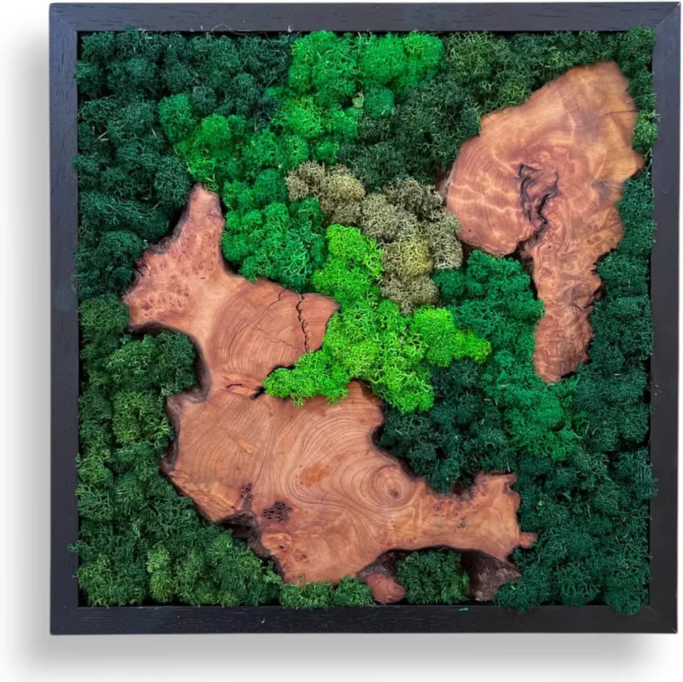 Serenzy 12" Square Cedar & Preserved Moss Wall Art | Unique No-Maintenance Decor for Home, Office, Restaurant, Diagonal Wood Pair
