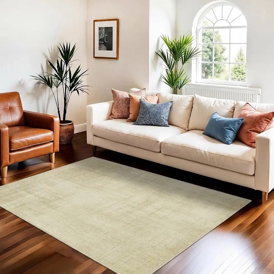 Joydeco 3x5 Area Rugs for Living Room Classic, Beige