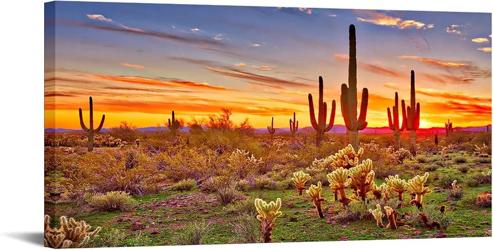 Large Single Piece Canvas Painting North American Sonoran Desert