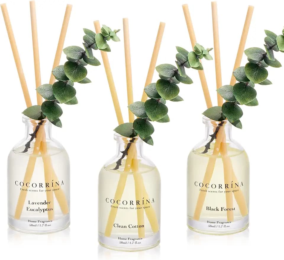 COCORRÍNA Reed Diffuser Set of 3 with Dried Eucalyptus for Home & Office