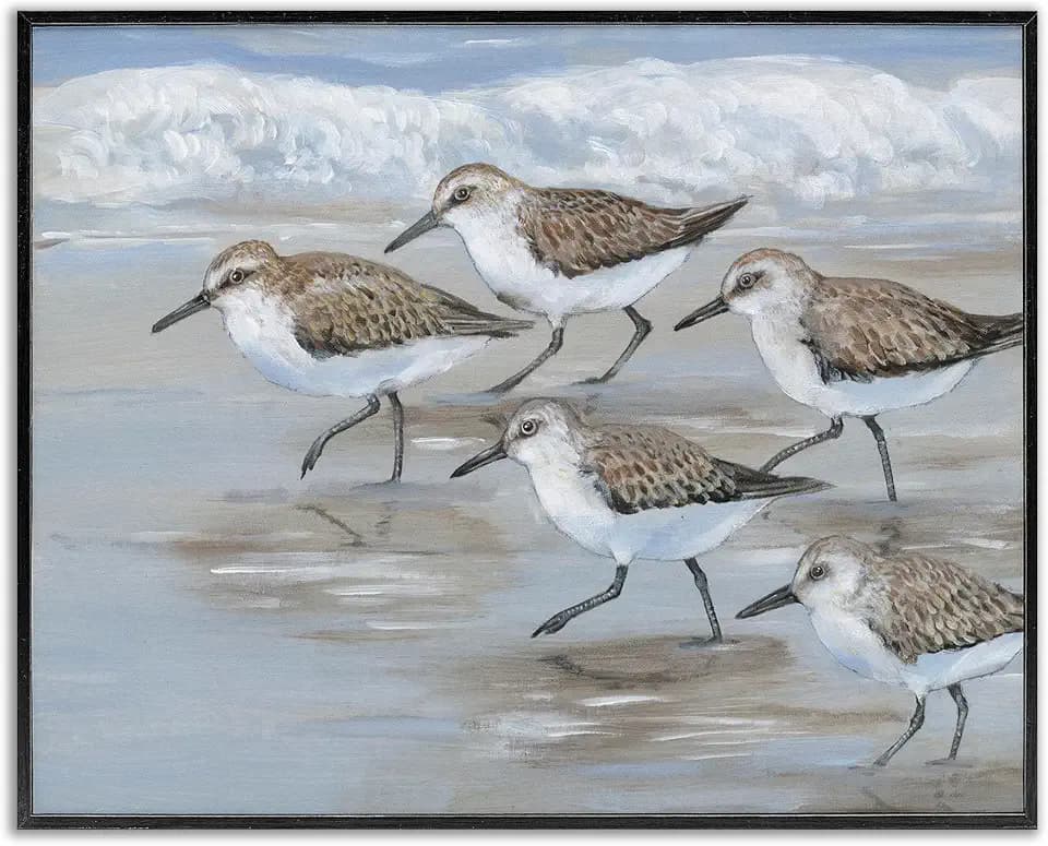 Stupell Industries 'Sandpiper Bird Flock Marching Beach Coast Waves ', Framed Giclee Art, Black, 20 x 16 Inches, Easy to Hang and Sturdy, Made in USA, by Tim O'Toole