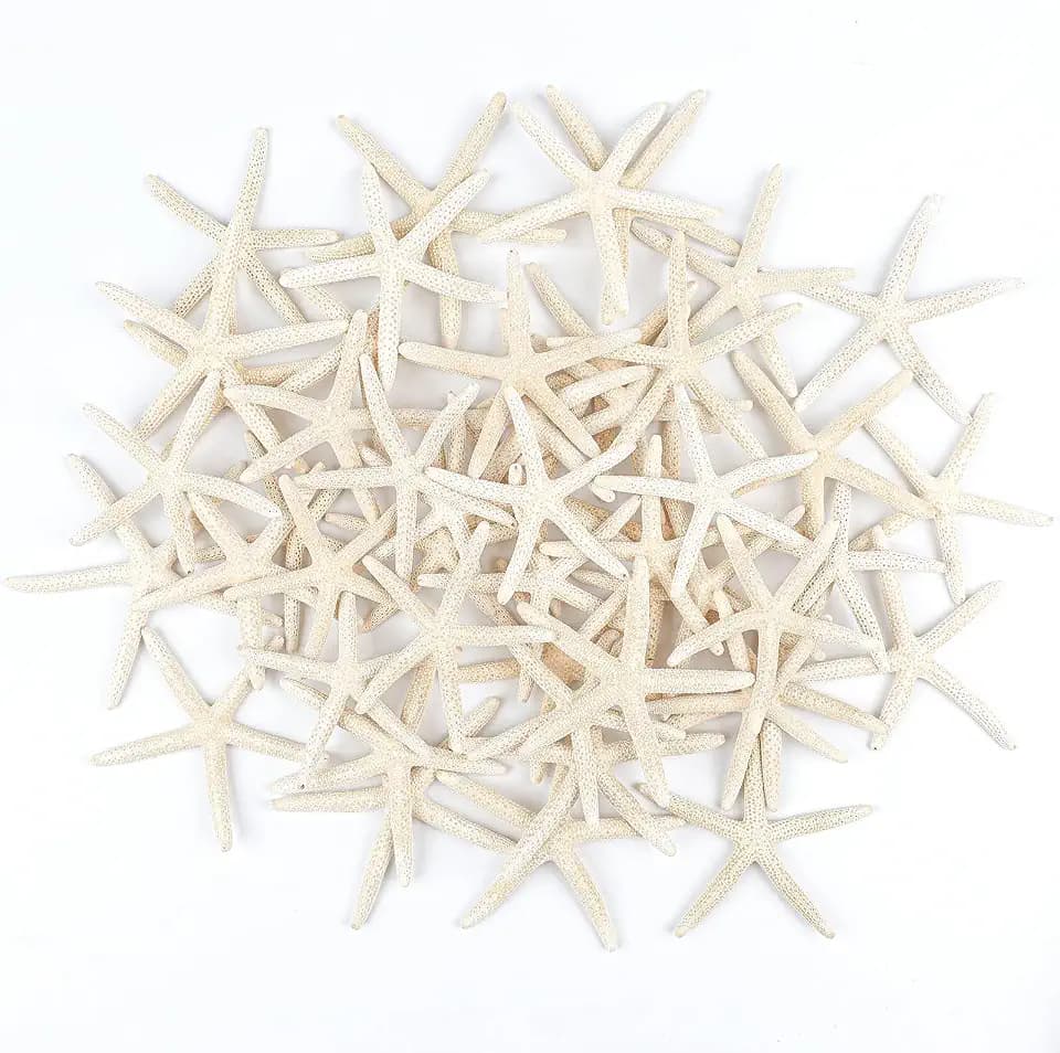 24 PCS Starfish, Mixed Starfish 2" to 3" and 3" to 4" Natural Seashells Starfish White Starfish Ornaments Perfect for Wedding Beach Theme Party Home Decorations, DIY Crafts, Fish Tank