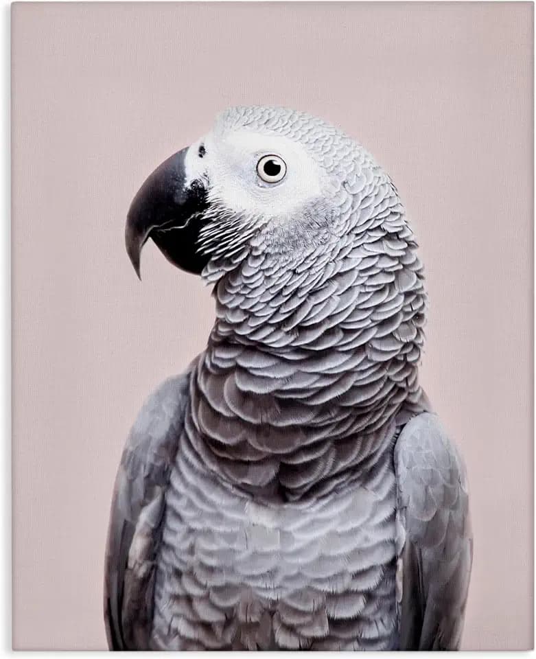 African Grey Parrot Portrait, 16 x 20 Inch Canvas Wall Art