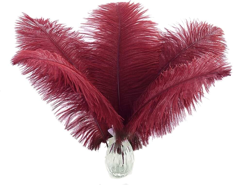 Ballinger Burgundy Large Ostrich Feathers Bulk for Vase,24Pcs,10-12inch