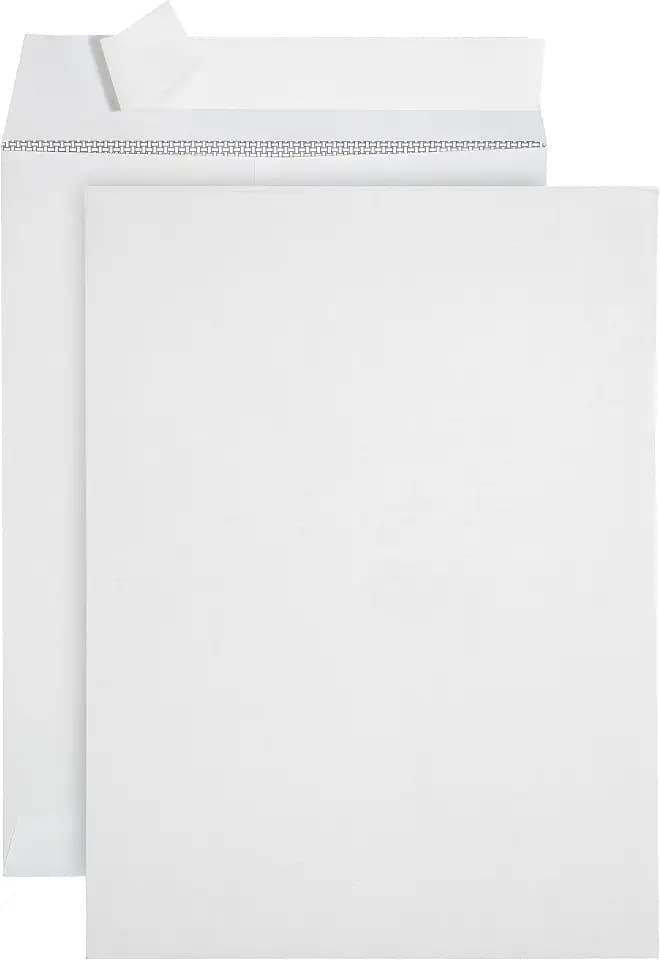 Blue Summit Supplies 100 9" x 12" Catalog Envelopes, Self Seal, White