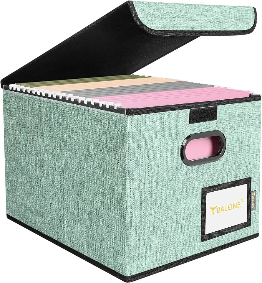 BALEINE File Organizer Box with Lid, Collapsible Hanging File Storage Box