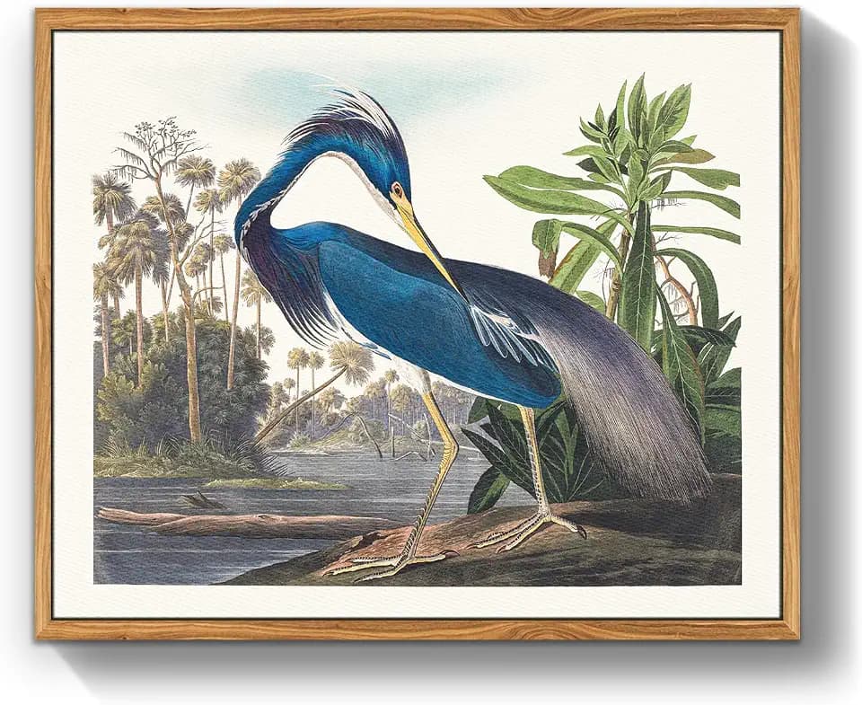 crmotu Bird Framed Wall Art, Heron Vintage Wall Decor Paintings, Nature Animal Canvas Art Prints, Still Life Aesthetic Wall Pictures for Living Room Bedroom Bathroom Farmhouse Cottagecore, 12x16inch