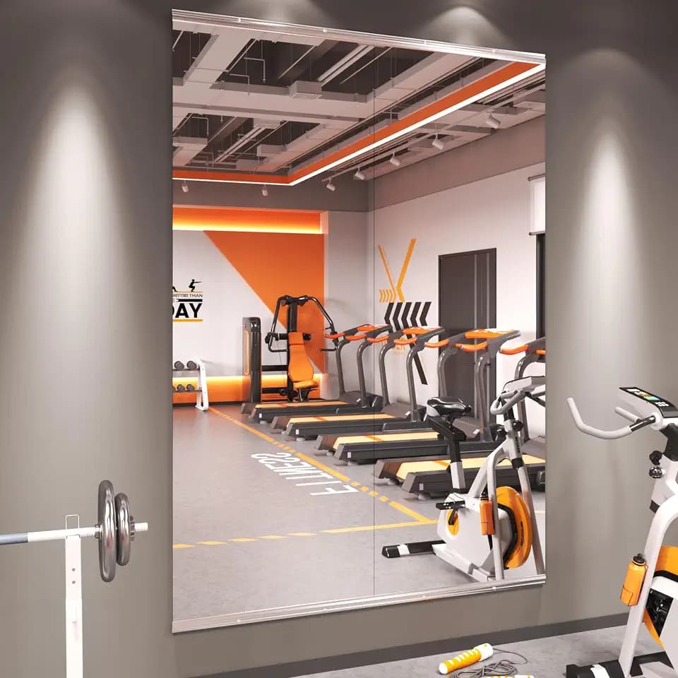 Amorho Gym Mirror, 67''x24''(Each)-2PCS