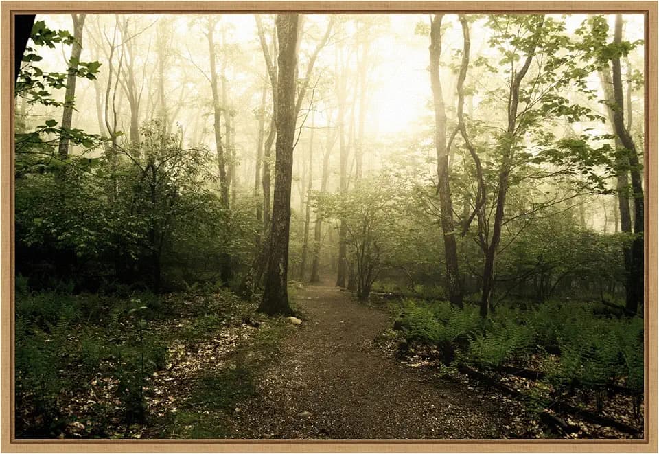 Amanti Art Framed Canvas Wall Art 16x23 Appalachian Trail by Andy Magee, Framed Wall Art Canvas, Landscapes Artwork, Modern Contemporary Decor, Medium Poster Painting for Living Room, Bedroom