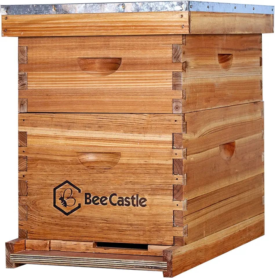 BeeCastle 8 Frame Langstroth Bee Hive Coated with Beeswax Includes Beehive Frames and Waxed Foundations (1 Deep Box & 1 Medium Box)