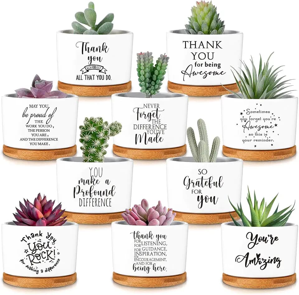 Yaomiao 30 Pcs Housekeeping Week Gifts Employee Appreciation Plant Bulk