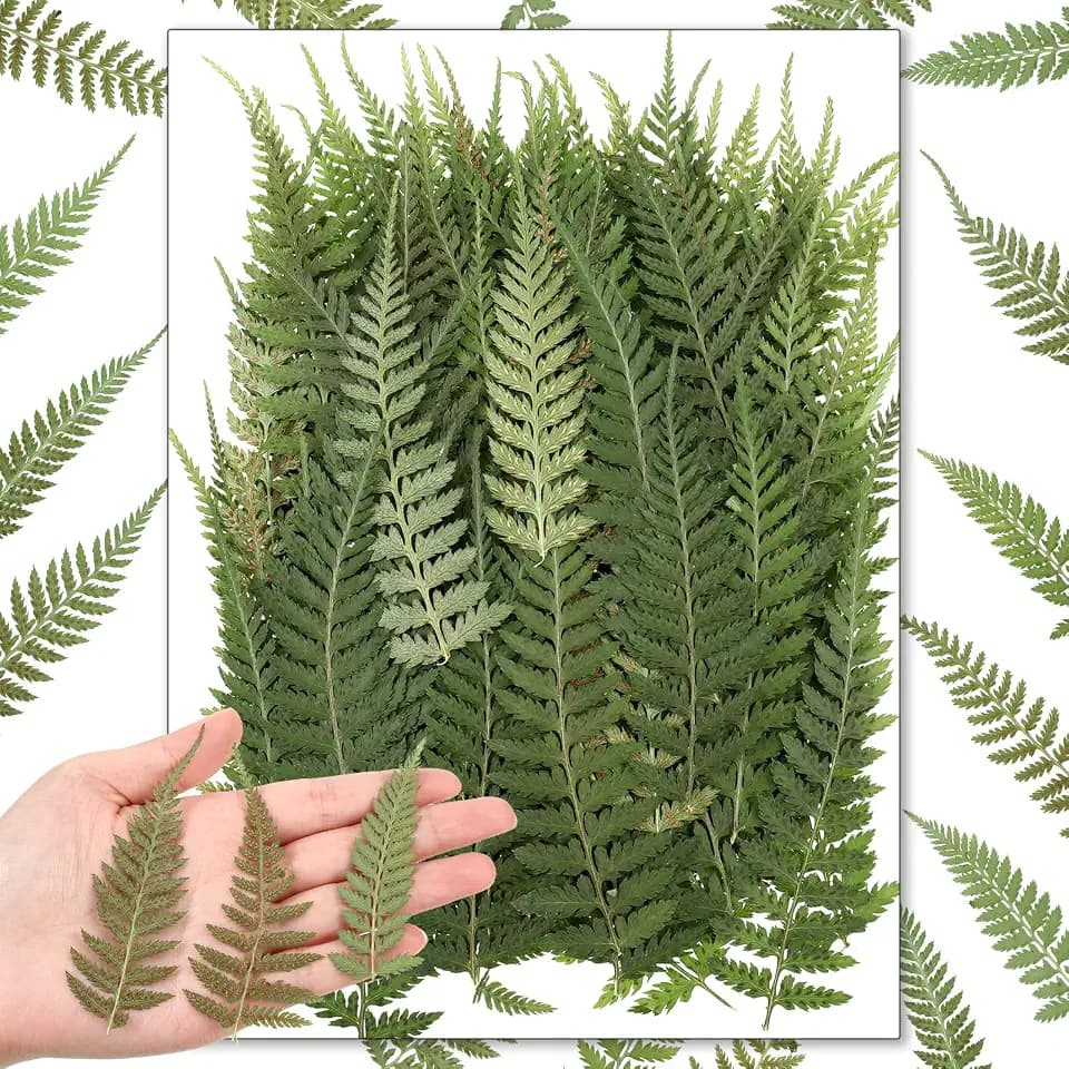 Fabbay 200 Pcs Pressed Dried Flowers Leaves Real Natural Ferns Dried Leaves Plant Dried Greenery for Resin Art Arrangements Home Wedding DIY Crafts Decors Card Scrapbooking