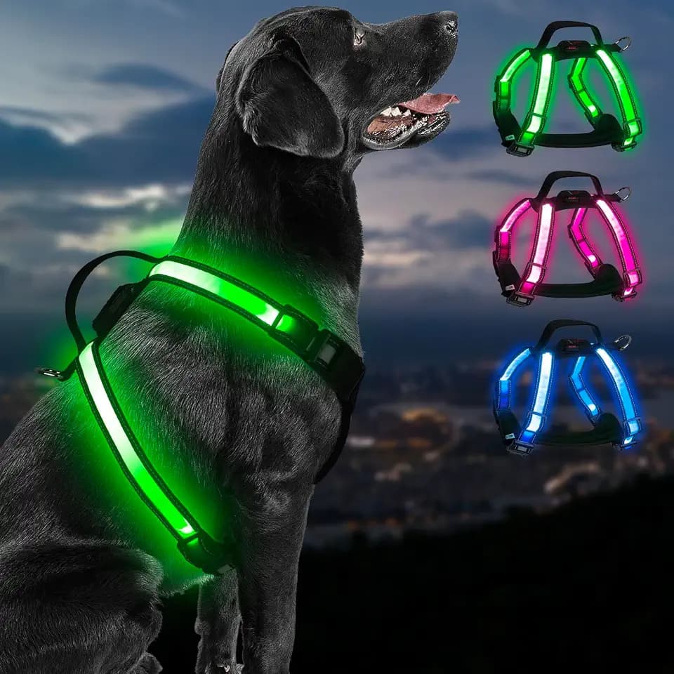 LED Hundegeschirr Leuchtend USB Wiederaufladbar,7 Lichtmodi 3 Farben, Reflektierendes Leuchtgeschirr für Hunde,Wasserdichtes Sicherheitsgeschirr für Kleine Mittel Große Hunde im Dunkeln-Groß