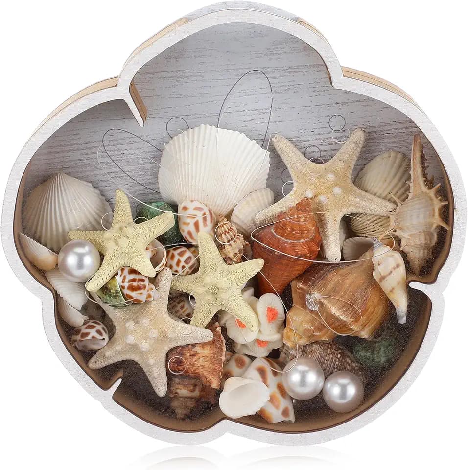 Wooden Sand Dollar Shell Holder Seashell Display Box Shell Collection Box