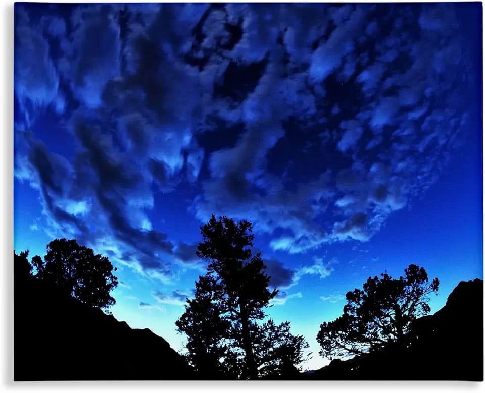Stupell Industries 'Blue Sky Silhouette Landscape Photograph'| Canvas Art