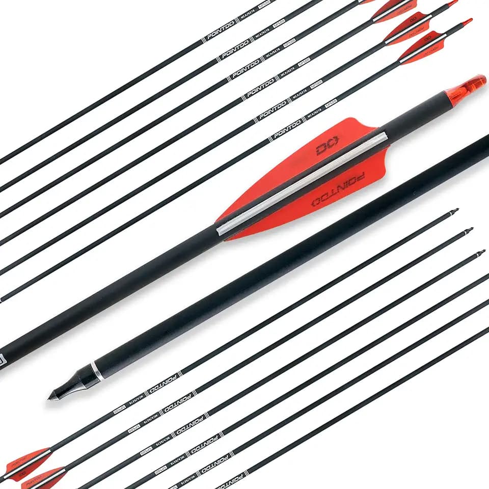 28"/30"/32inch Carbon Arrow Practice Hunting Arrows with Removable Tips for Compound & Recurve Bow(Pack of 12)