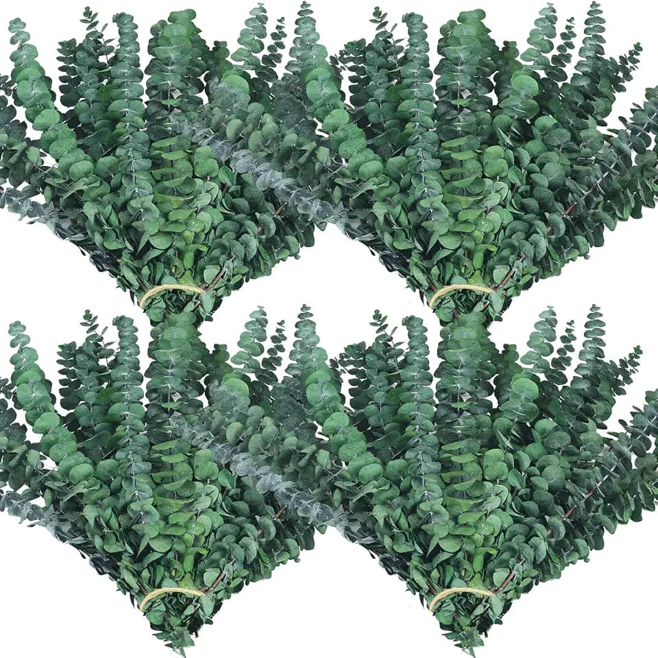 60 Pcs Dried Eucalyptus Stems, Real Greenery Leaves for Shower Hanging